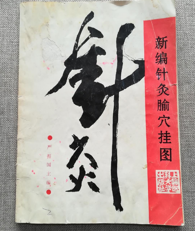 新编针灸腧穴挂图