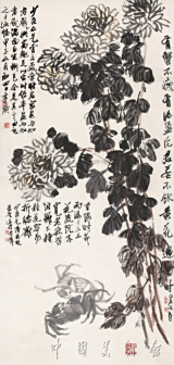 菊花螃蟹