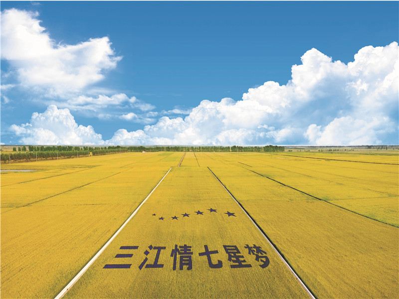黑龙江省七星农场