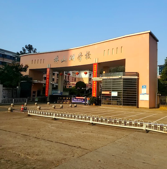 益阳市梓山湖学校