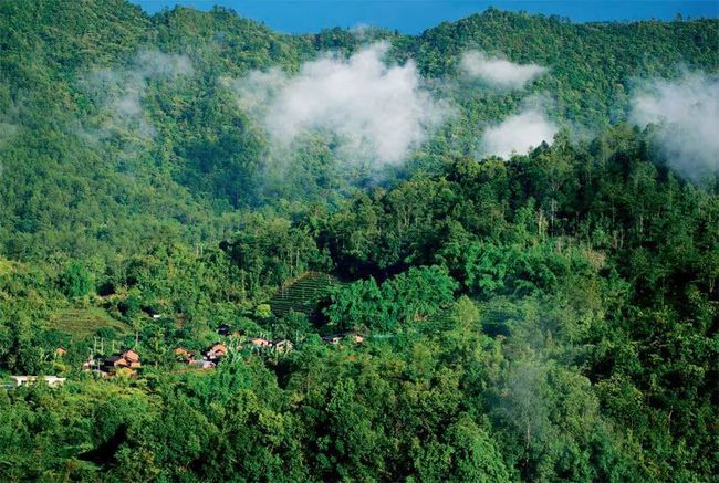  p>始建于1980年的国保级南滚河自然保护区,总面积为7082公顷,位于