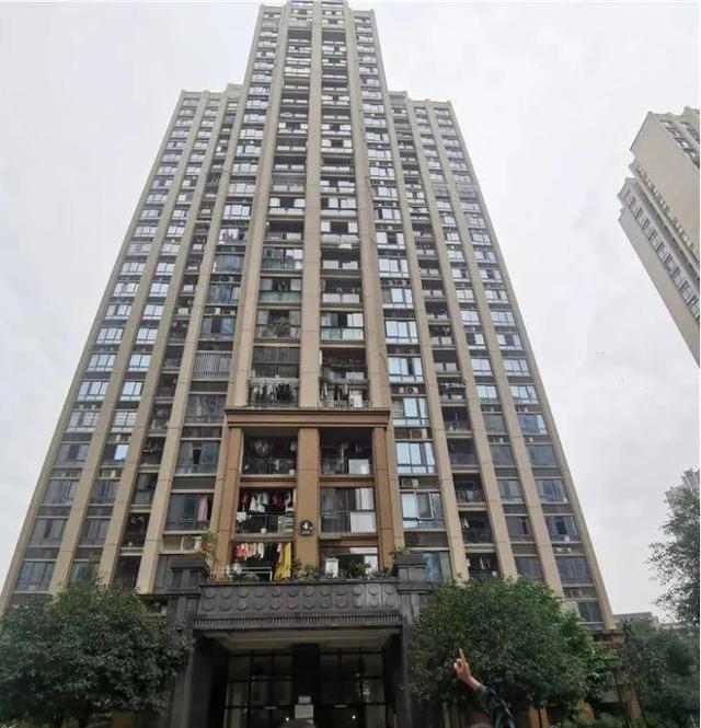 11·2重庆幼童坠亡案