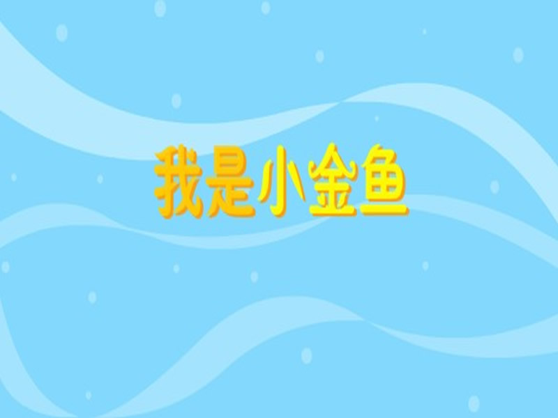 我是小金鱼