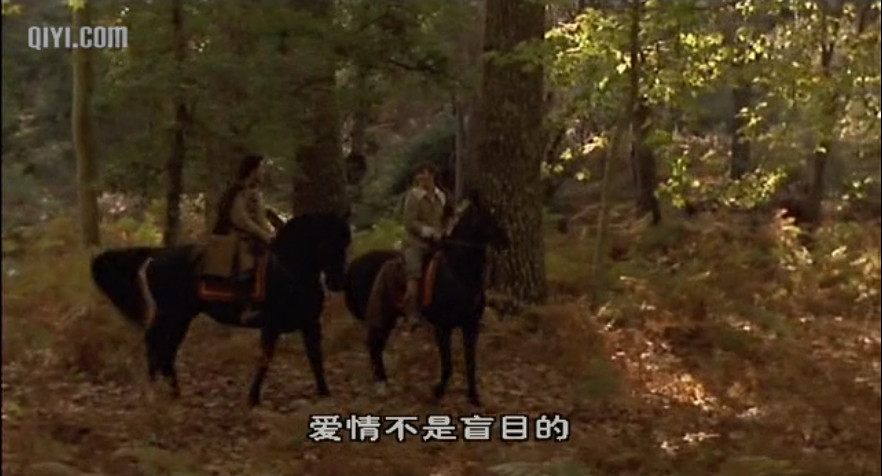  p>《豪情玫瑰》是1994年上映的法国冒险喜剧 a href="#" data-lemma