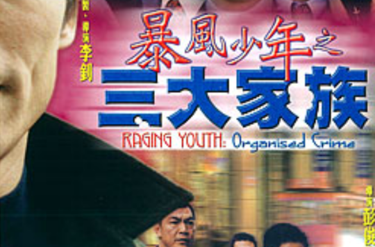 暴风少年之三大家族
