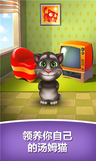 会说话的猫汤姆猫