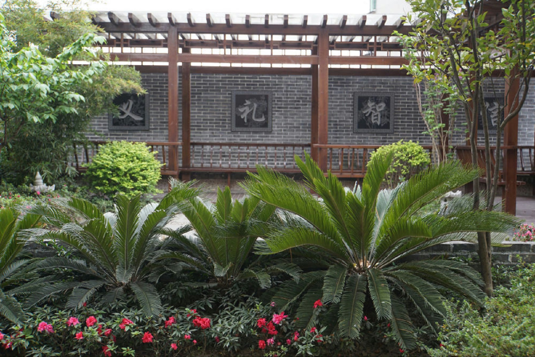  p>成都市第八中学(chengdu no.