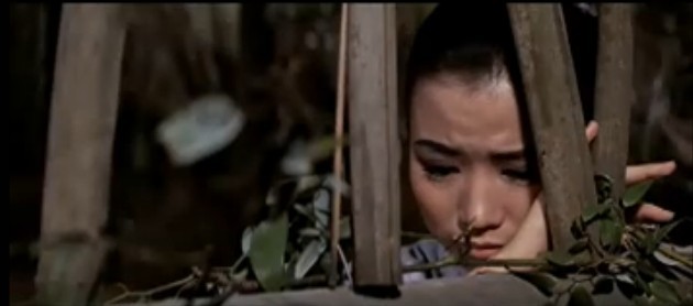 阴阳刀yinyangdao(1969)