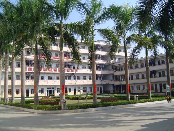  p> a target="_blank" href="/item/白马镇初级中学/6027522" data