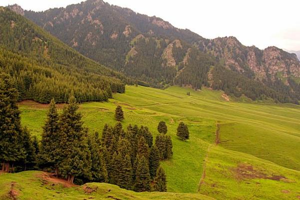  p>塔城地区,是 a target="_blank" href="/item/新疆维吾尔自治区