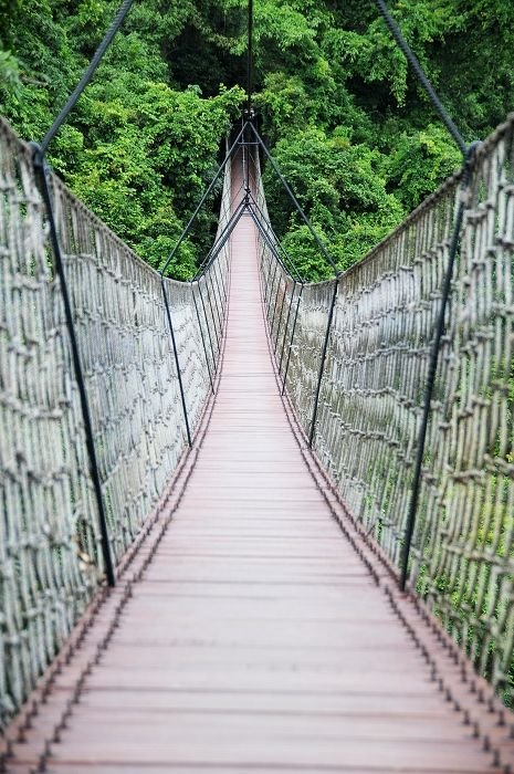 数十米,为 a href="#" data-lemmaid="13346">海南 /a>第一铁索吊桥