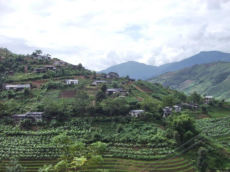  p>灰家寨村隶属于云南省红河州金平苗族瑶族傣族自治县者米拉祜族乡