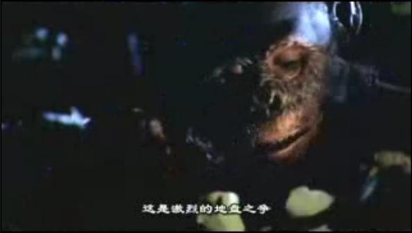 与远古人同行walkingwithcavemen(2003)