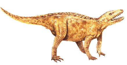 派克鳄(euparkeria)