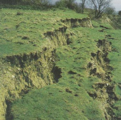 648839" data-lemmaid="648839">力学 /a>性质以张性和剪切裂缝为多见