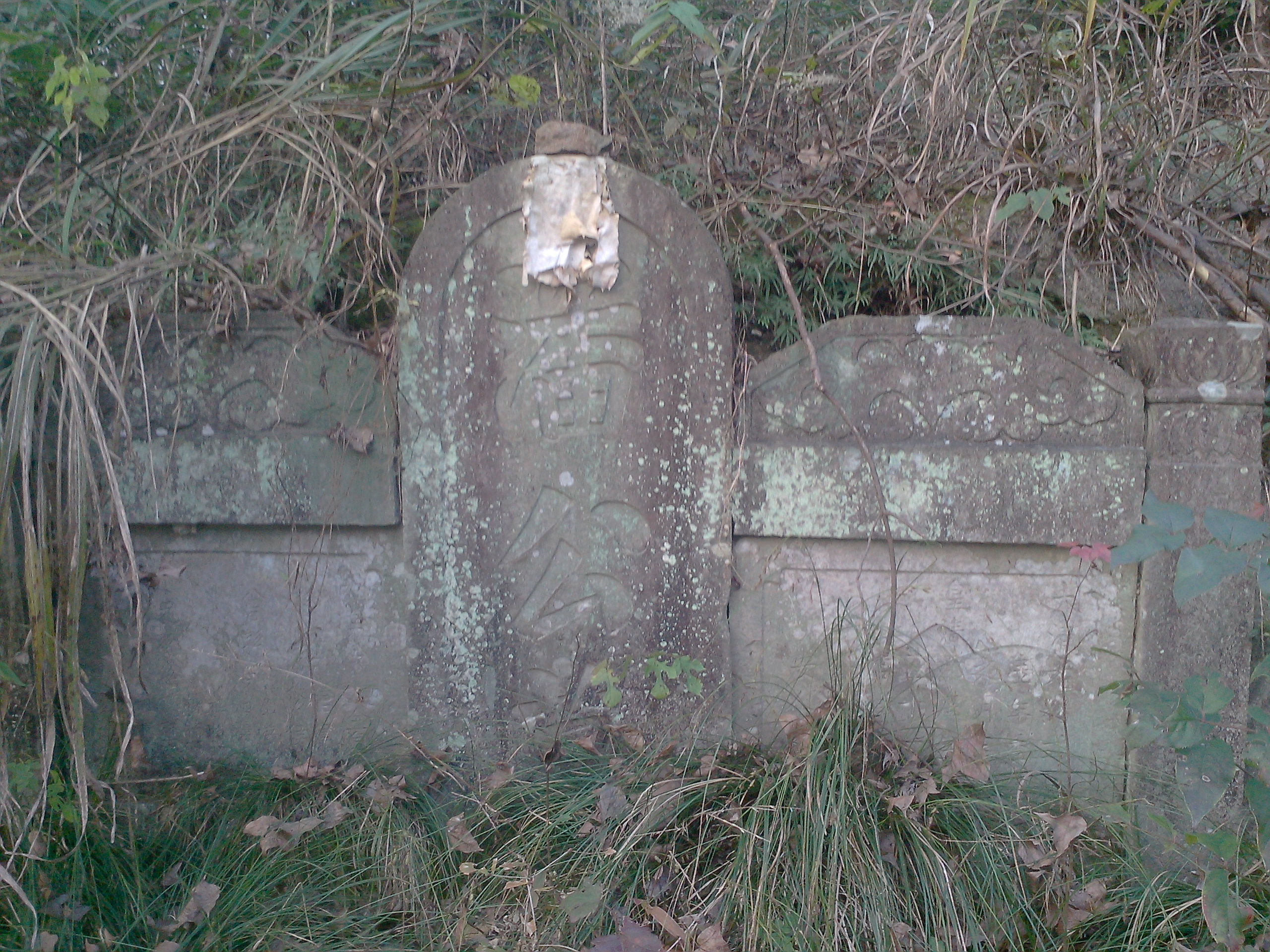 >潘璧珍墓,位于浙江省浦江县浦南街道丽水源水库东侧山道边的清代古墓