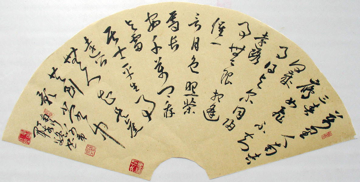  p>张军文 字藏芝,号墨香舟客,1975年生于四川省西充县,现为中国书法