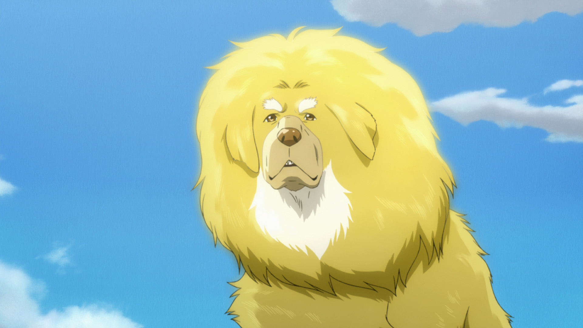  p>《藏獒多吉》是由中日首次合拍的一部动画冒险电影,由 a href="#"