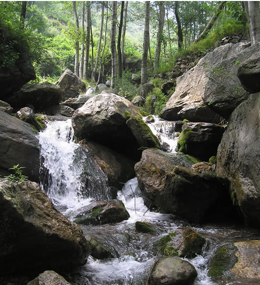  p>牙梳山,山名,坐落在福建省 a target="_blank" href="/item/宁化县