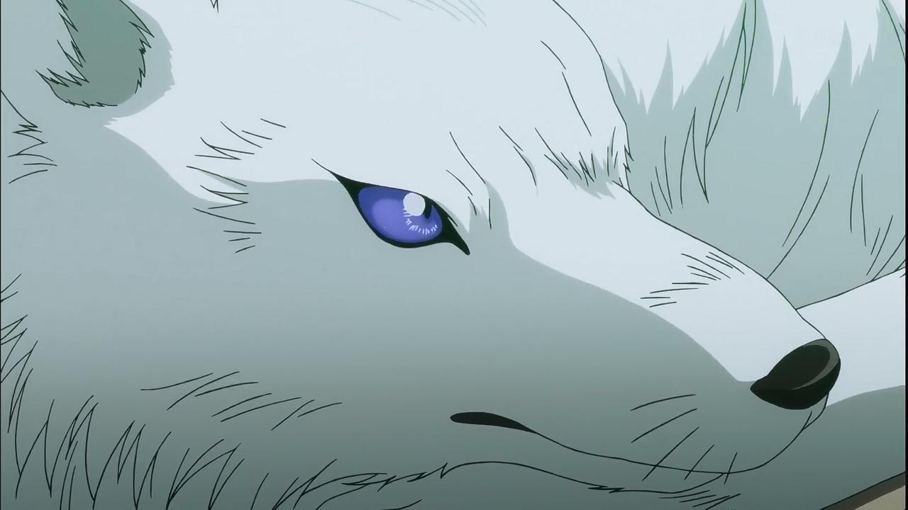 里见莉芳