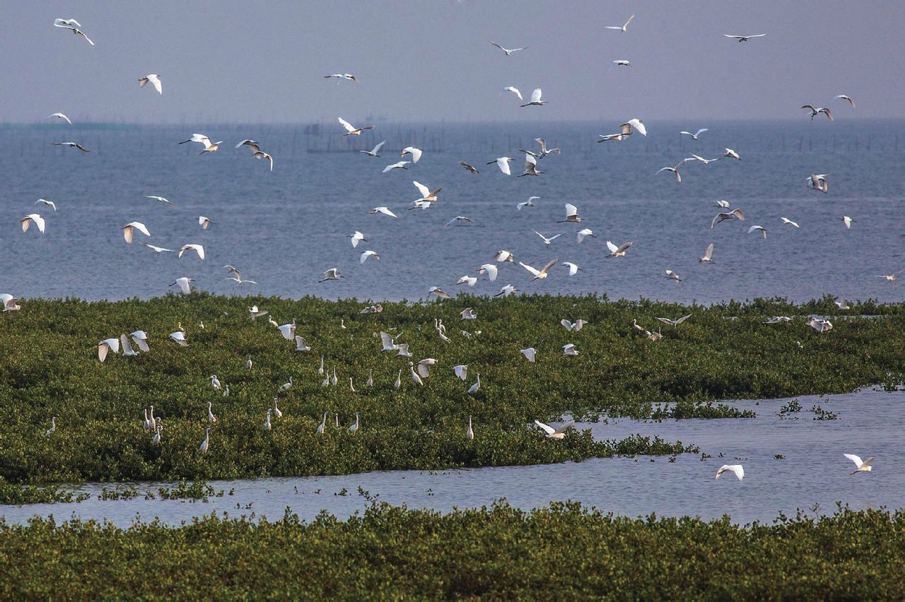  p>广西北仑河口国家级自然保护区位于广西壮族自治区 a target="