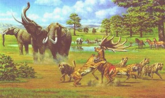  p>更新世,亦称为 b>洪积世 /b>(从2,588,000年前到11,700年前), a