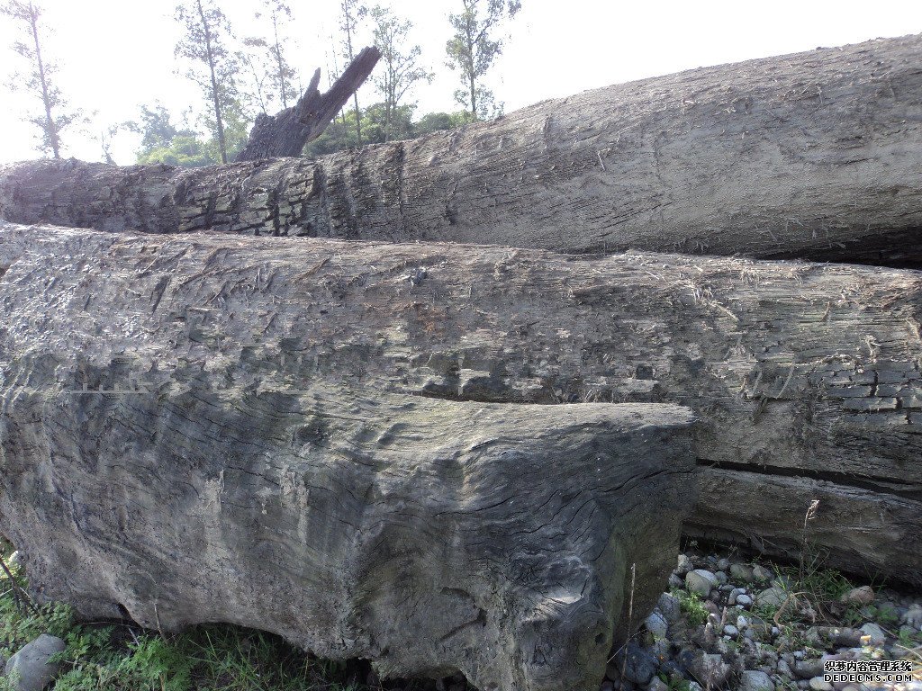  p>条纹乌木又称纹乌木,古时称木, a target="_blank" href="/item/文