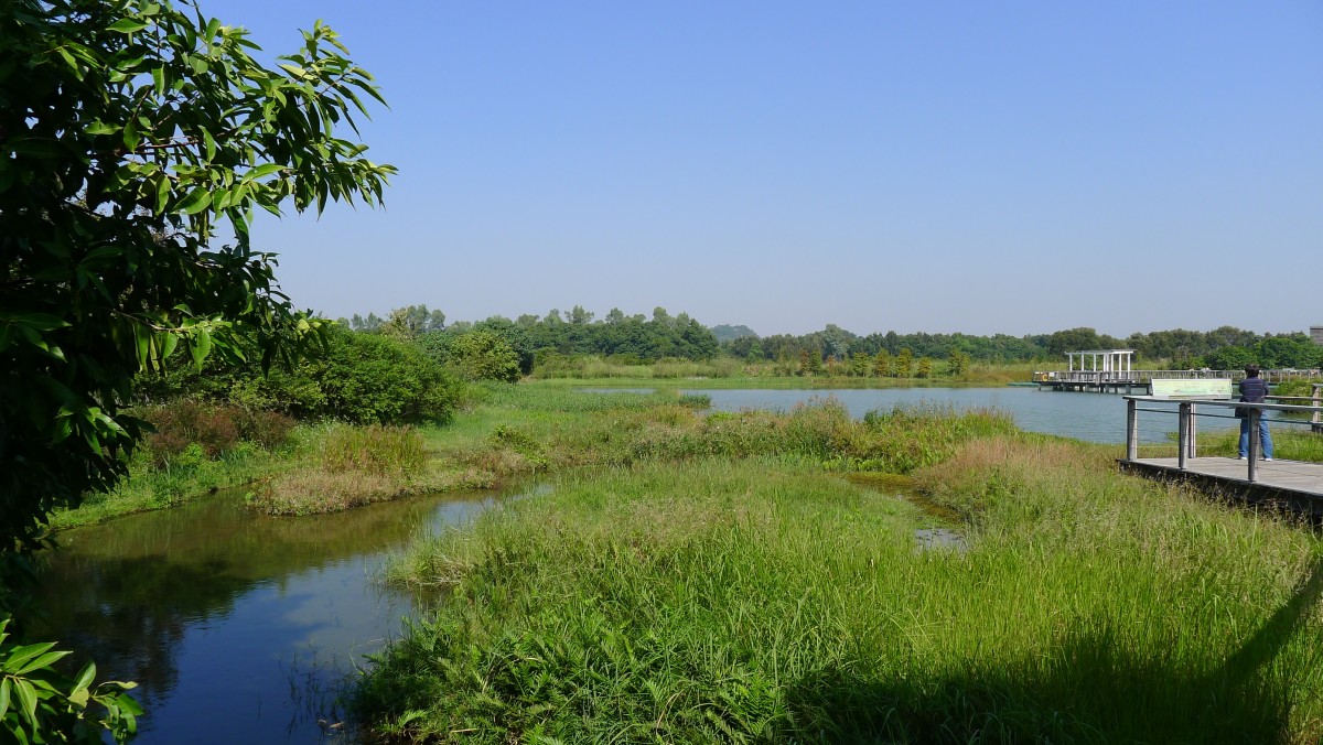 hongkong wetland park