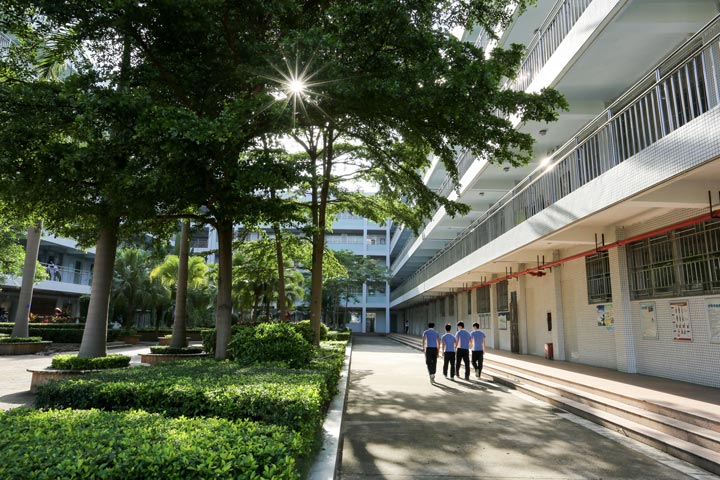 深圳龙岗技校 全网资源