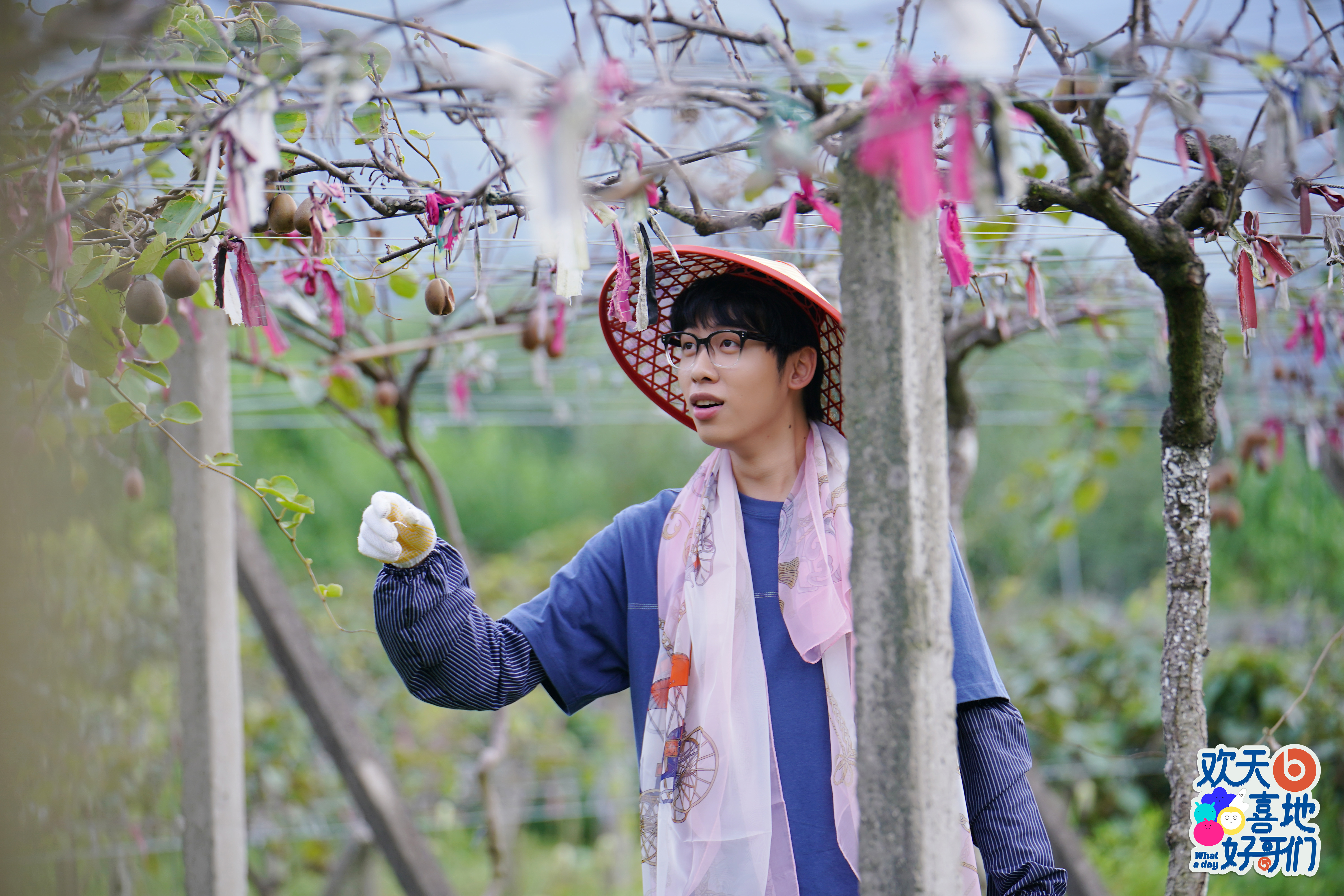 target="_blank" href="/item/中国boy超级大猩猩/24253339" data