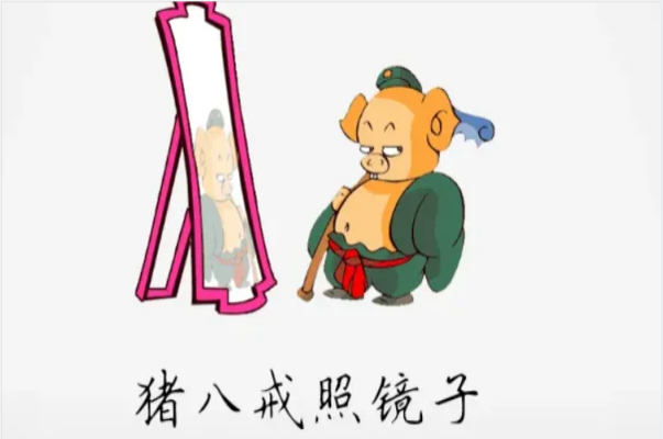 猪八戒照镜子,里外不是人