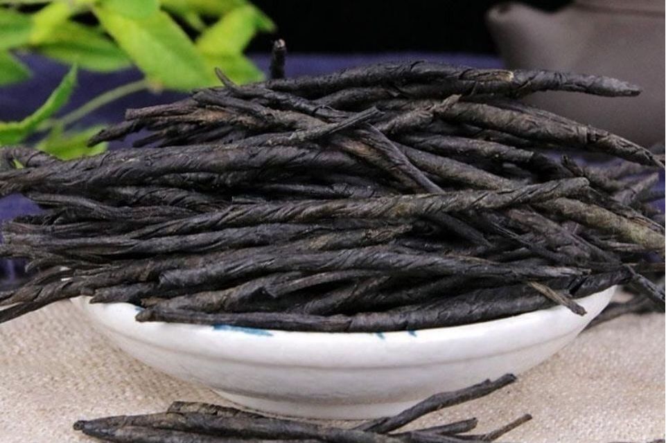 苦丁茶冬青海南31号