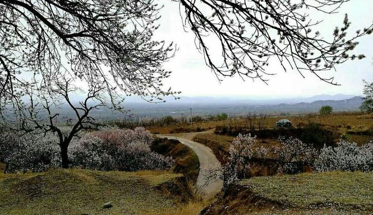  p data-id="gnwtylfrdg">蒋村镇,隶属于山西省忻州市定襄县,地处 a