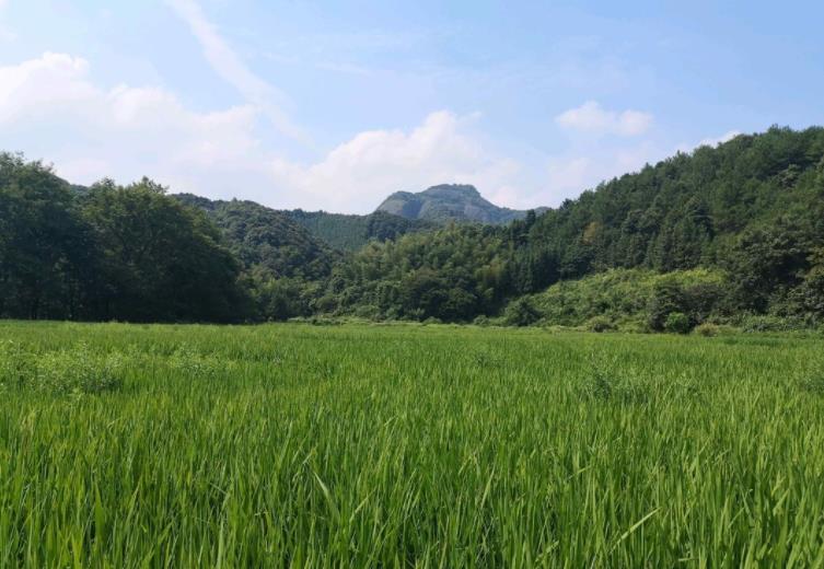  p data-id="gnzwup1mbs">小江镇,隶属江西省赣州市 a target="_blank