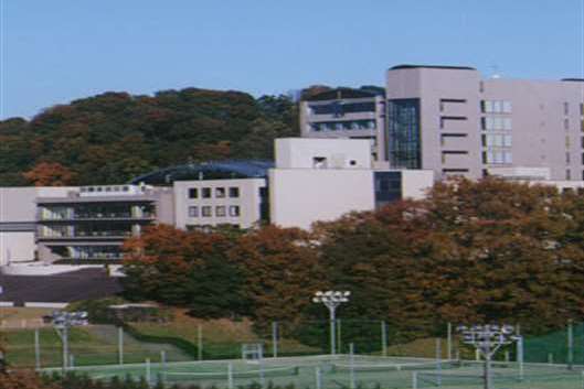 神户海星女子学院大学