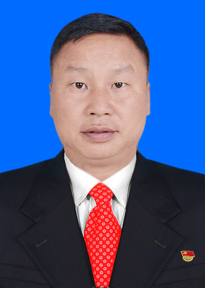  p>王成光,现任贵州省三都水族自治县都江镇党委委员,副书记,人民政府