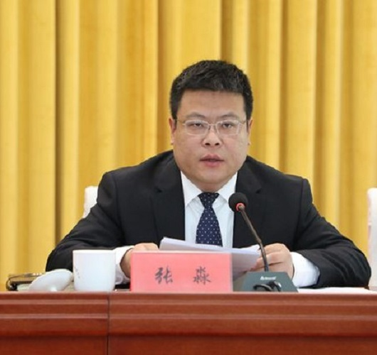 data-lemmaid="2401982">霸州市 /a>委副书记,市长 span class="ref"