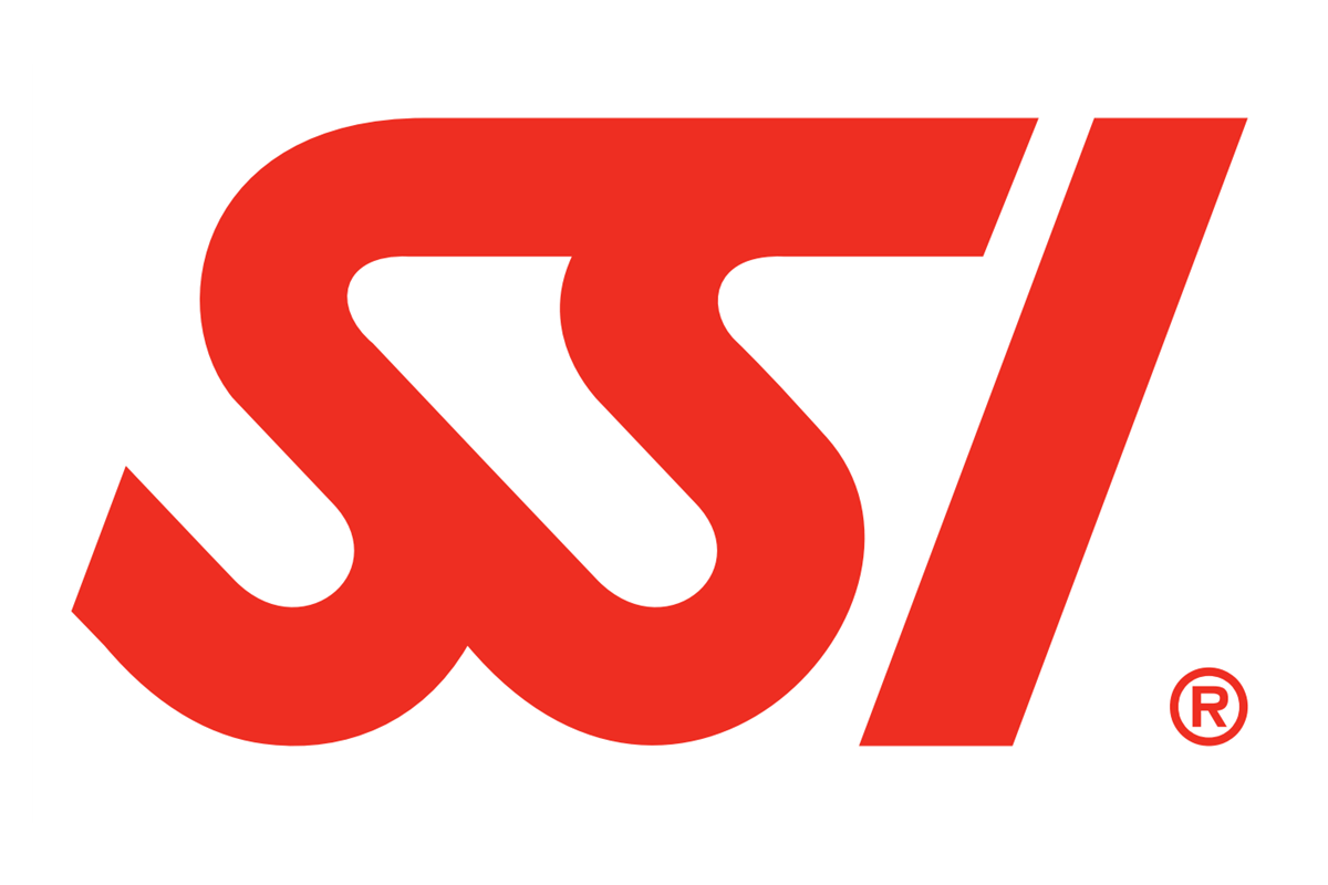 ssid是什么意思，ssid是什么意思路由器设置里