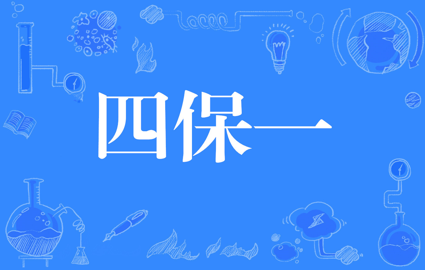 四保一