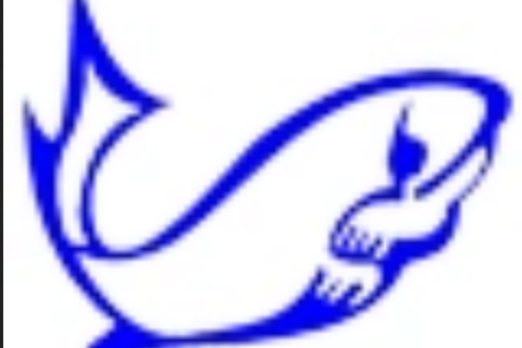  p>海王电器设备有限公司成立于1991年,是一家专业从事捕鱼机,捕鱼器