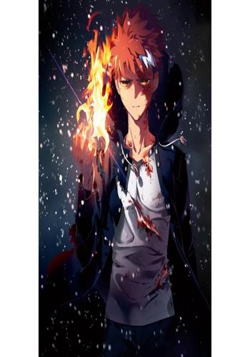 卫宫巨侠的崩坏之旅