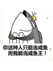 您的咸鱼王已上线