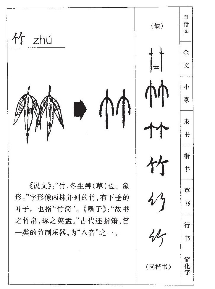  p>竹(拼音:zhú)是汉语通用规范一级汉字(常用字).