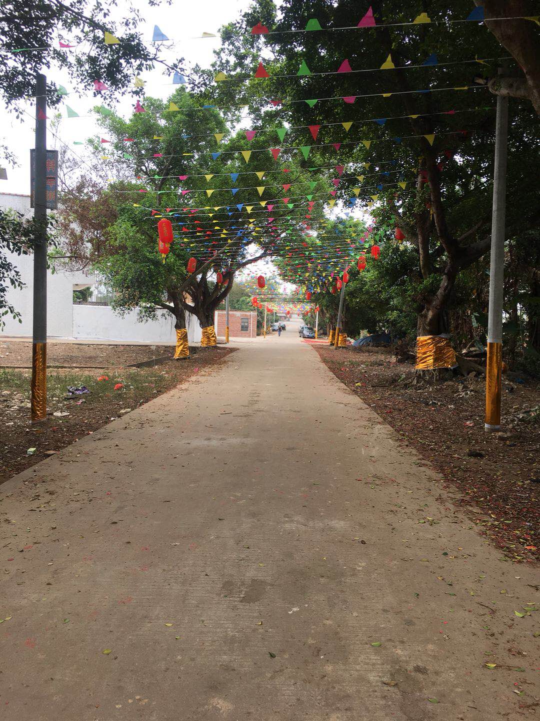  p>广东省湛江市 a target="_blank" href="/item/遂城镇/13334094"