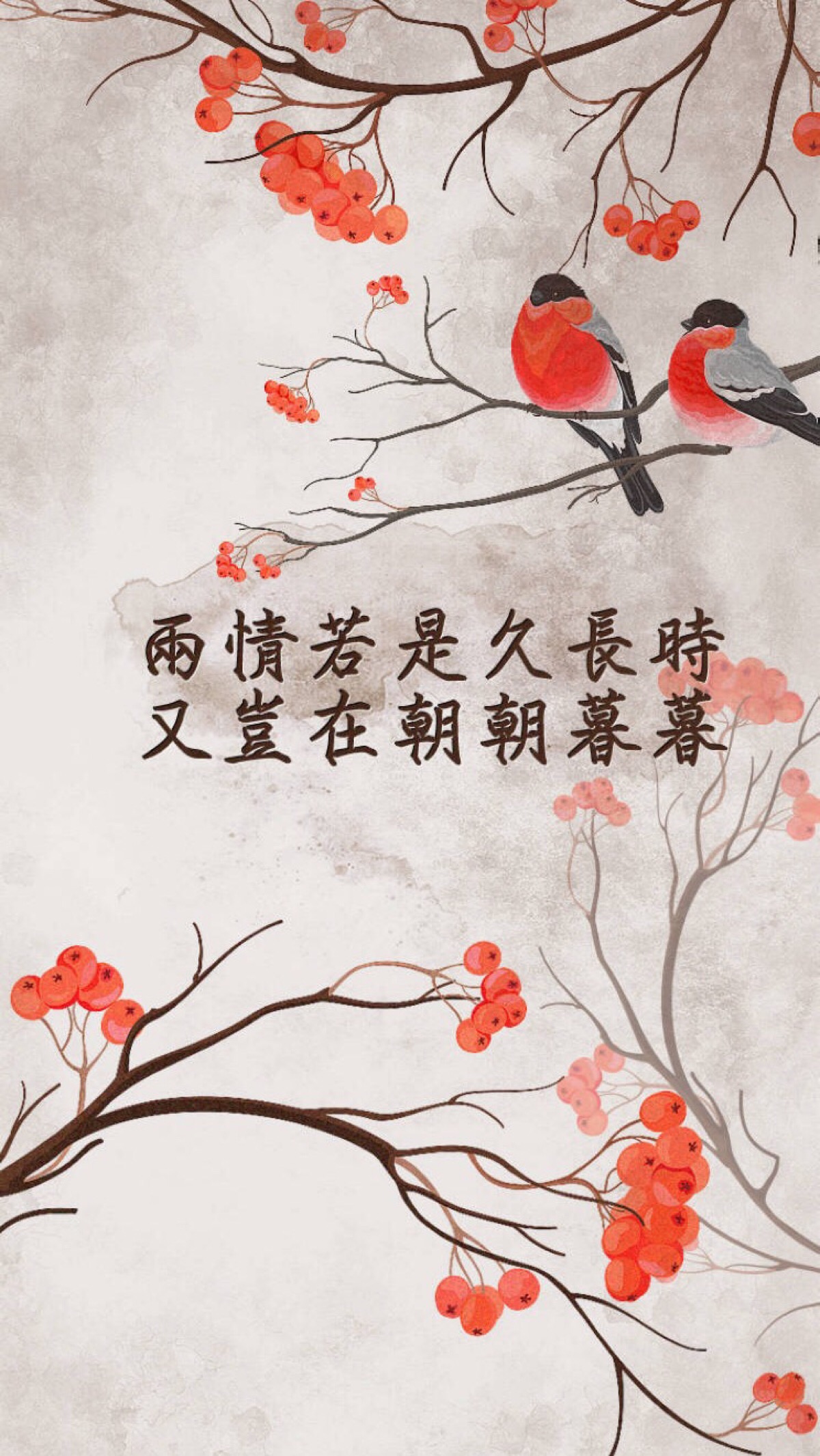 两情若在长久时又岂在朝朝暮暮