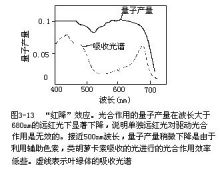紅降效應