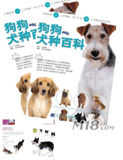 狗狗犬种百科