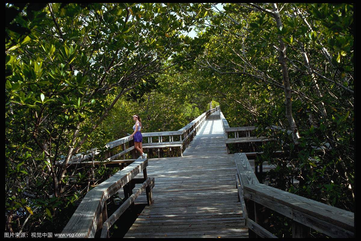 四川荣县高石梯森林公园