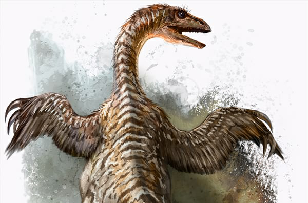  p>镰刀龙类属于 a target="_blank" href="/it