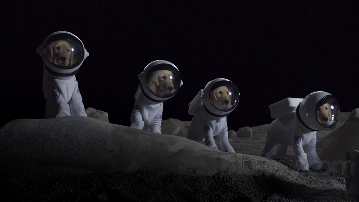  p>《太空犬》是由罗伯特·文斯执导的一部科幻/家庭类影片,狄尔里奇